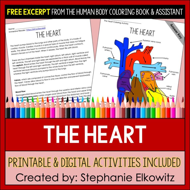 The Heart Coloring Page and Reading Passage | Stephanie Elkowitz