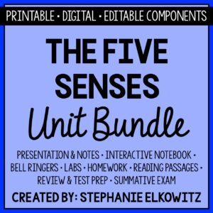 Five Senses & Sensory Processing Unit Bundle