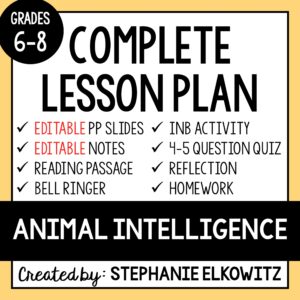 Animal Intelligence Lesson