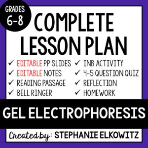 Gel Electrophoresis Lesson