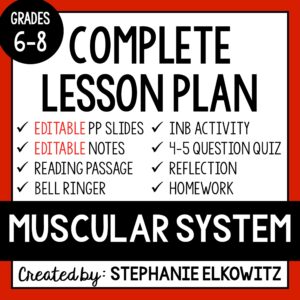 Muscular System Lesson