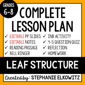 Leaf Structure Lesson