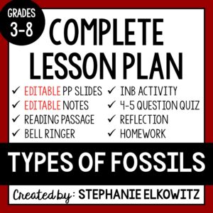 Types of Fossils Lesson