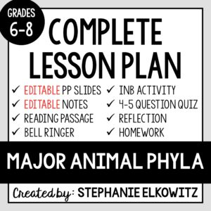 Major Animal Phyla Lesson